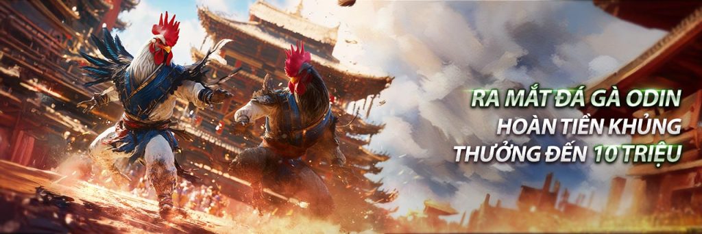 RA MẮT ĐÁ GÀ ODIN
THƯỞNG ĐẾN 10 TRIỆU MỖI TUẦN!
