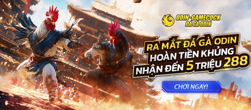 Đá gà Odin tại JBO