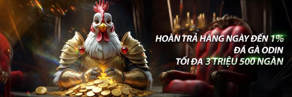 THƯỞNG HOÀN TRẢ ĐÁ GÀ