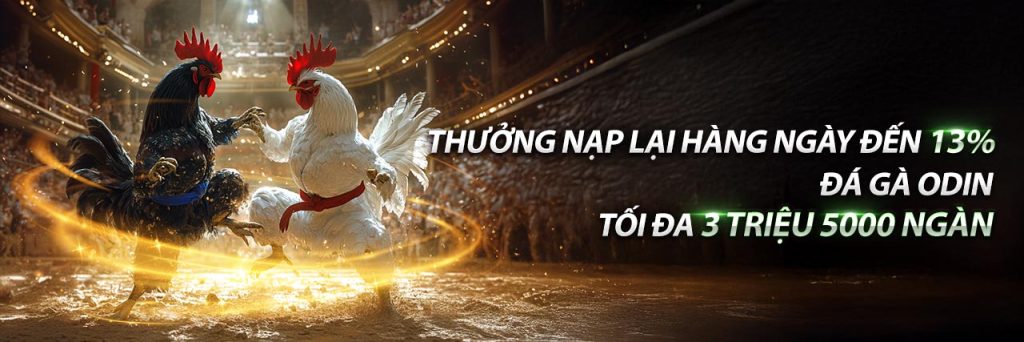 THƯỞNG NẠP LẠI ĐÁ GÀ