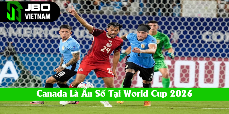 Canada là ẩn số tại giải đấu World Cup 2026