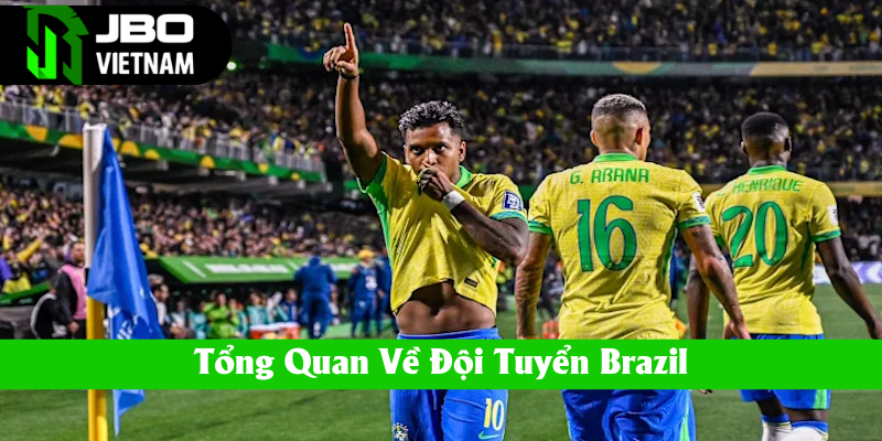 Một số điều thú vị về đội tuyển Brazil